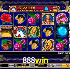 Descubra o Mundo do Cassino Online com 888win